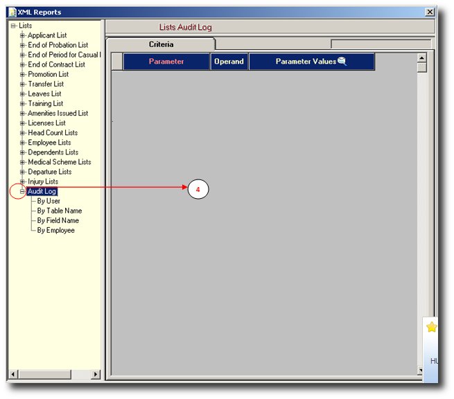 shrm:procguide:reports:audit1.jpg