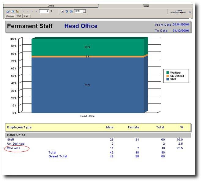 shrm:procguide:socialaudit:staffmovement:permanentstaffbyemployeetype.jpg