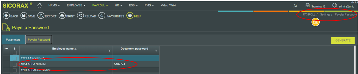 payslip_password22.png