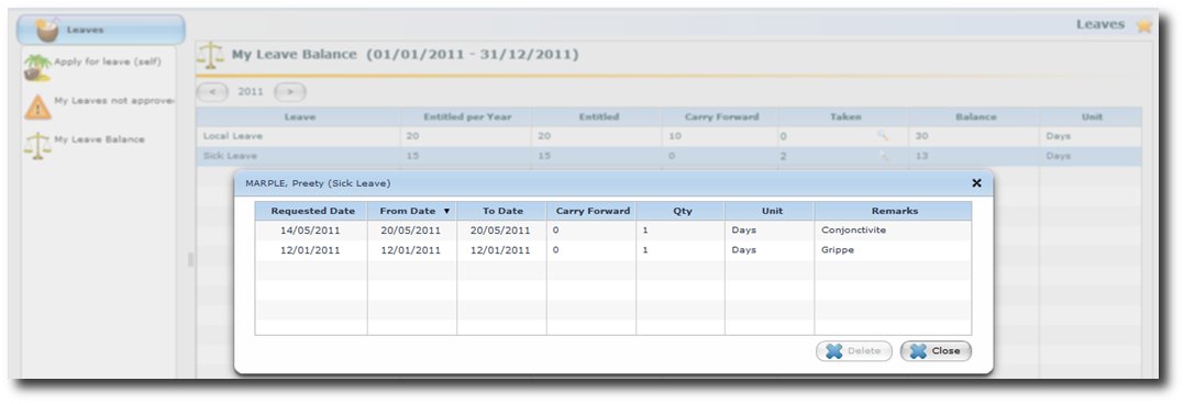 sess:hradminmanagerguide:myleavesbalance2.jpg