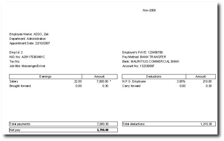 Format For Drivers Salary Slip Templates