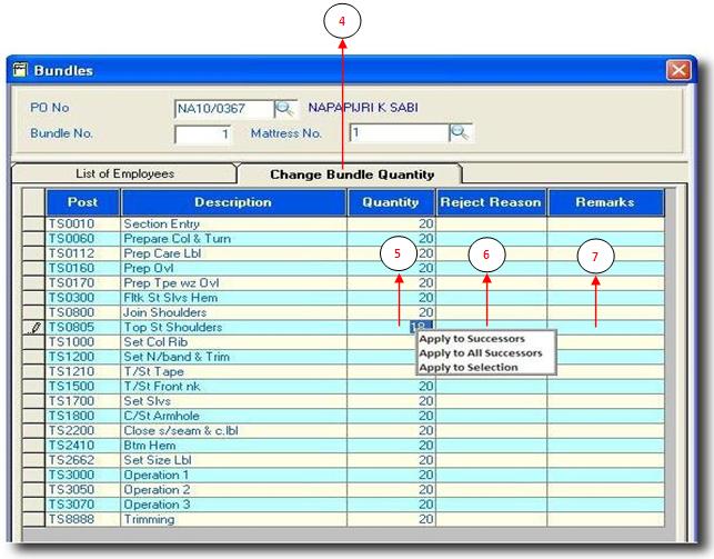 seam:userguide:process:manualentries:04d_bundles.jpg