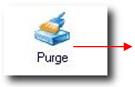 seam:userguide:process:manualentries:06_purge.jpg